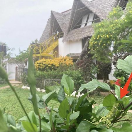 Botanica Eco Lodge Michamvi Kae Екстер'єр фото