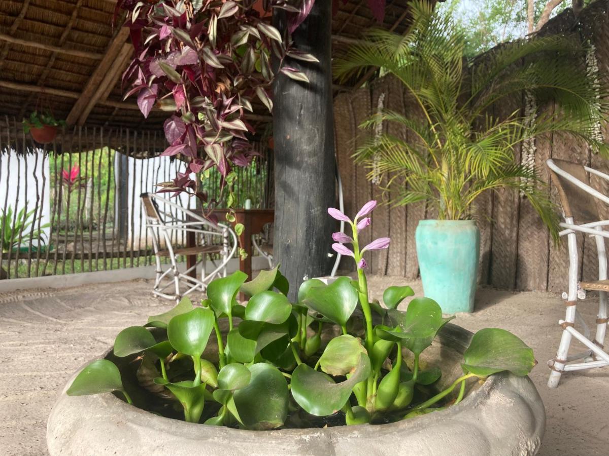 Botanica Eco Lodge Michamvi Kae Екстер'єр фото